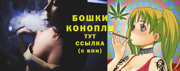бутират Горняк