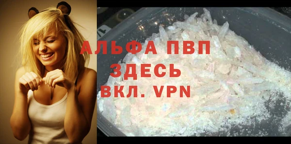 гидра Тында