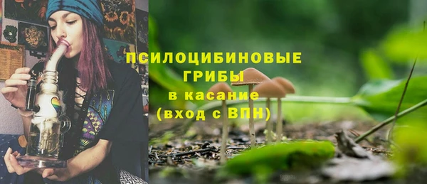 бутират Горняк
