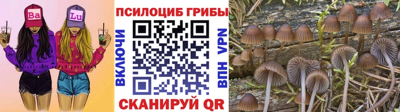 Галлюциногенные грибы MAGIC MUSHROOMS дарнет шоп Озёры
