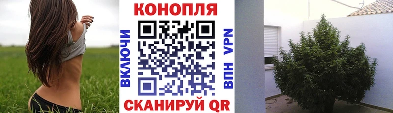 магазин  наркотиков  мега зеркало  Марихуана семена  Озёры 